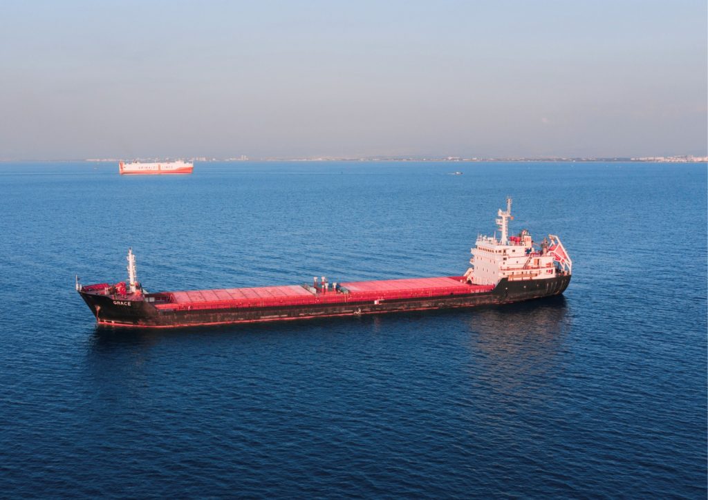 Large cargo vessel sailing on calm open water with another ship visible near the horizon.